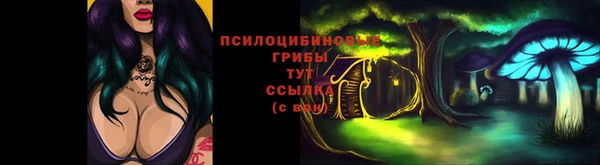 ешки Алексин