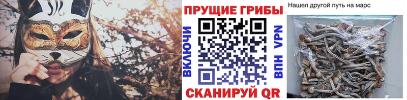 omg   Азов  Псилоцибиновые грибы Cubensis  даркнет сайт 